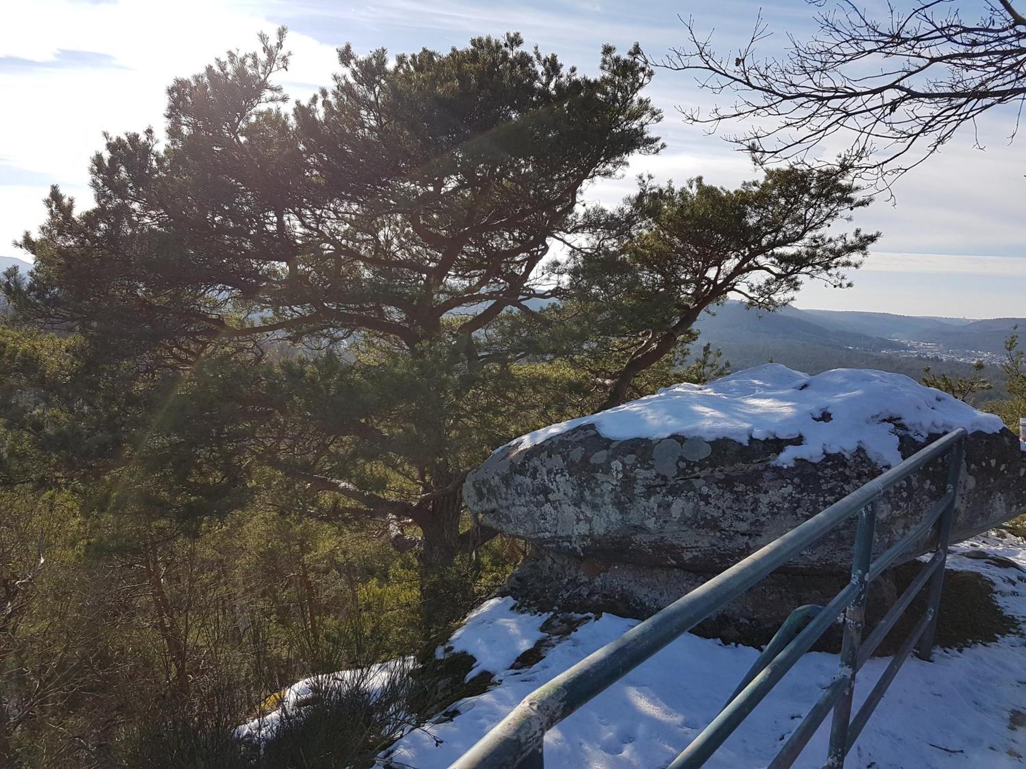 Ferienwohnung Waldliebe Hinterweidenthal Εξωτερικό φωτογραφία