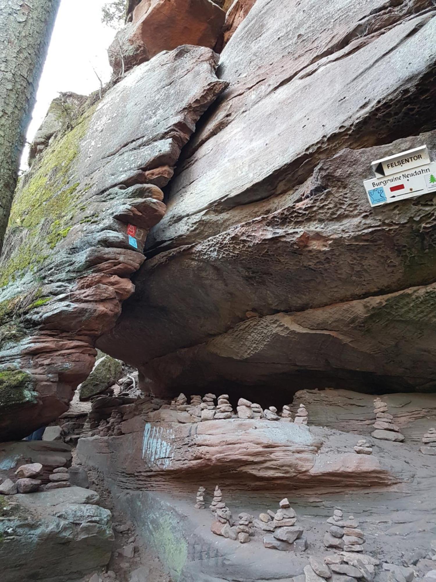 Ferienwohnung Waldliebe Hinterweidenthal Εξωτερικό φωτογραφία