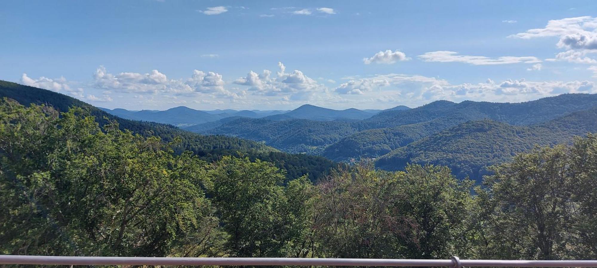Ferienwohnung Waldliebe Hinterweidenthal Εξωτερικό φωτογραφία